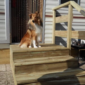 Trap met bordes 100CM met leuning links of rechts