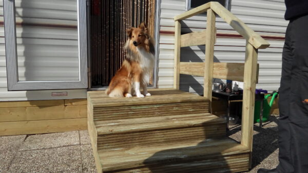 Trap met bordes 100CM met leuning links of rechts